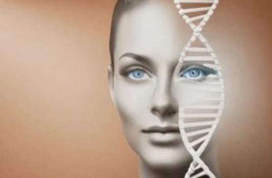 Polynukleotide (PDRN) – wissenschaftlich fundierte Hautregeneration in Bonn  