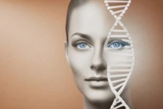 Polynukleotide - Hautverjüngung mit Bio-Stimulatoren